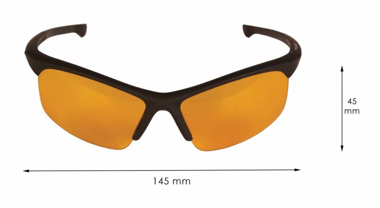 Stingray Glasses 2021