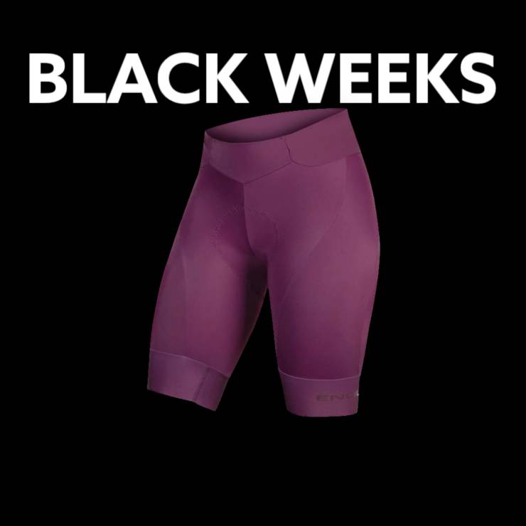 Damskie spodenki Endura FS260 Waist Short